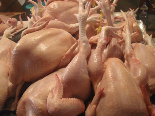 ราคาไก่ไทยส่งออก